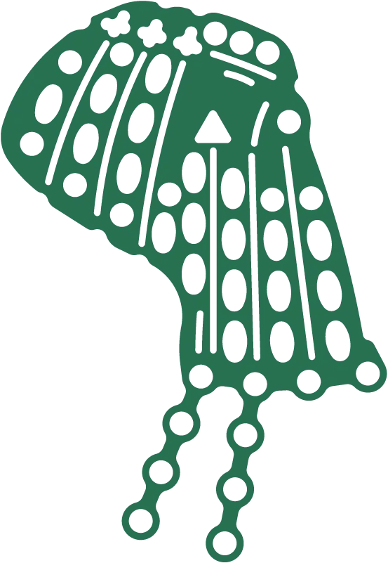 ilustracion mallas orbitarias zimmer biomet